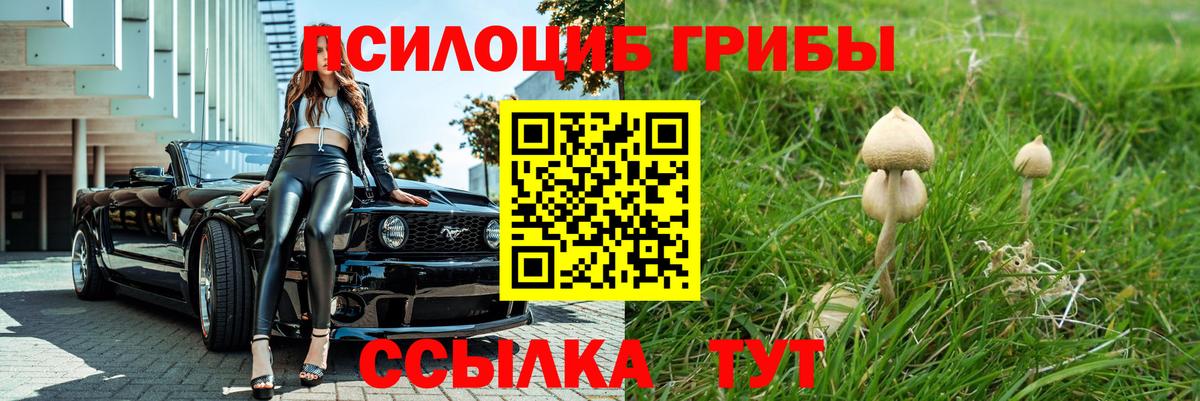 Таганрог  Галлюциногенные грибы MAGIC MUSHROOMS  Вход с VPN 